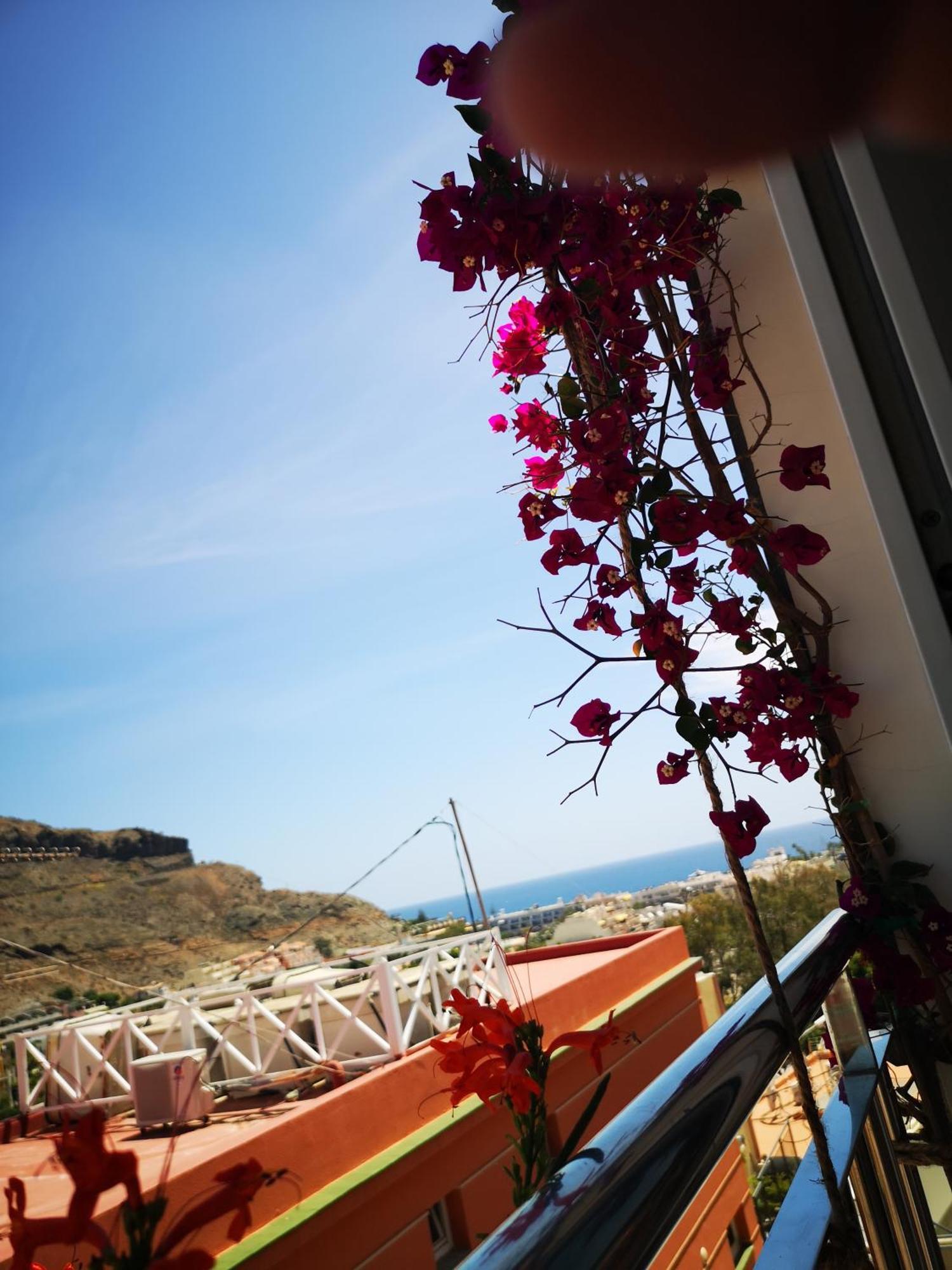 Апартаменти Puerto De Mogan Sonneland Екстер'єр фото